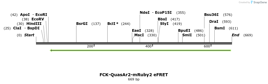 93393_map