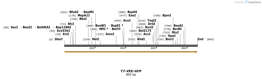 93394_map