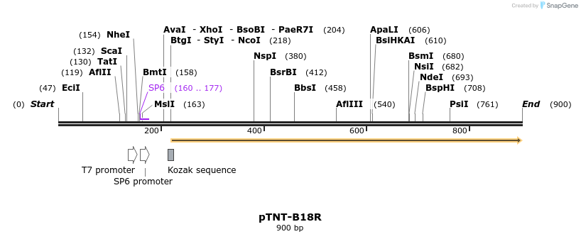 93396_map