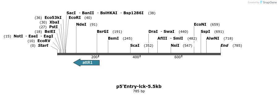 93397_map
