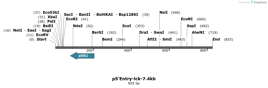 93400_map