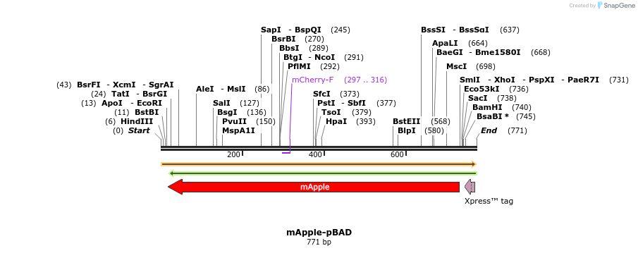 93409_map