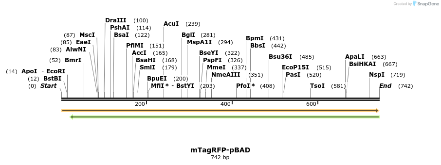 93411_map