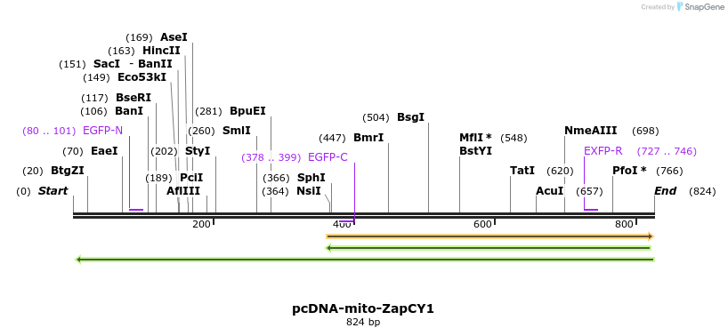93413_map