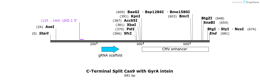 93415_map