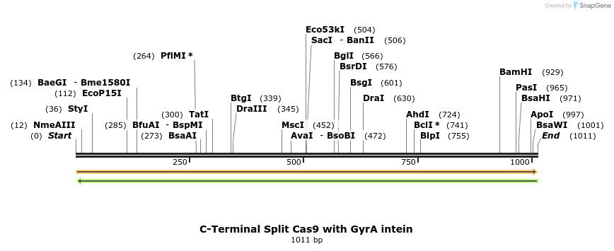 93416_map