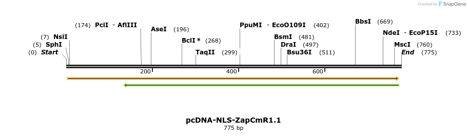 93418_map