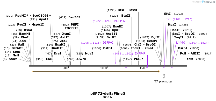 9343_map
