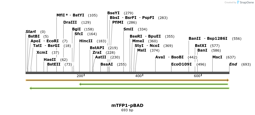 93448_map
