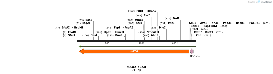 93449_map