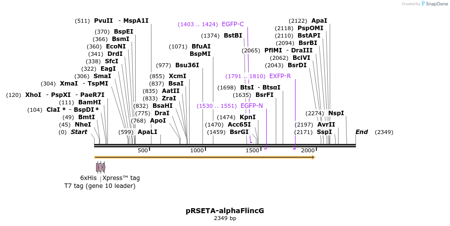 9345_map