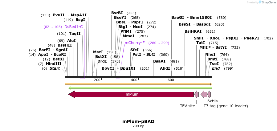 93450_map