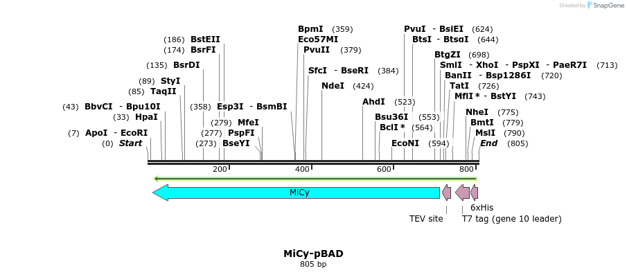 93451_map