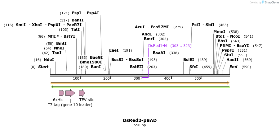 93455_map