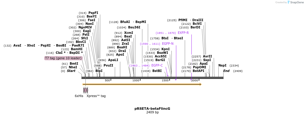 9346_map