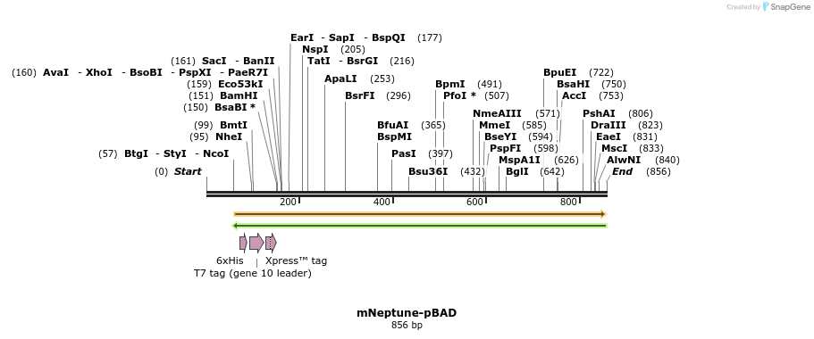 93461_map