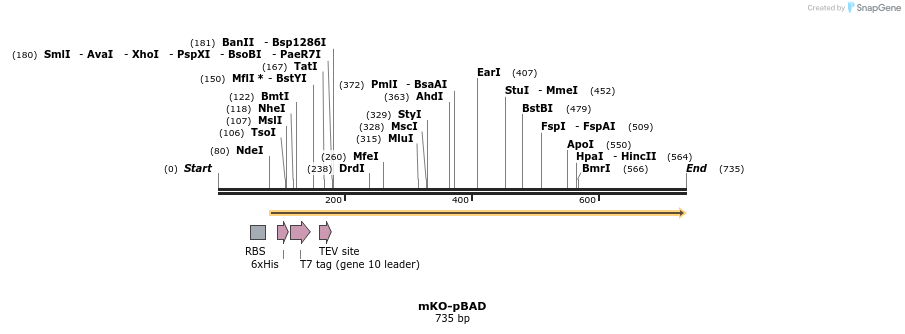 93463_map