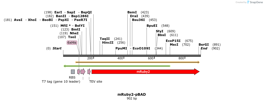 93466_map