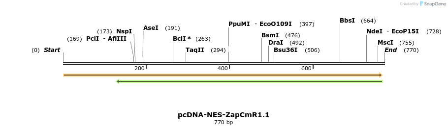 93467_map