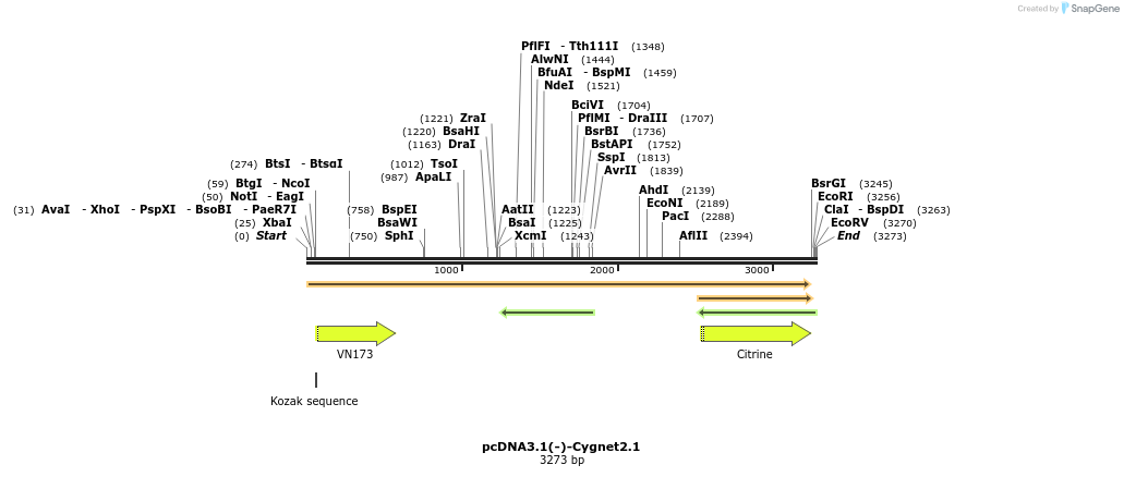 9347_map