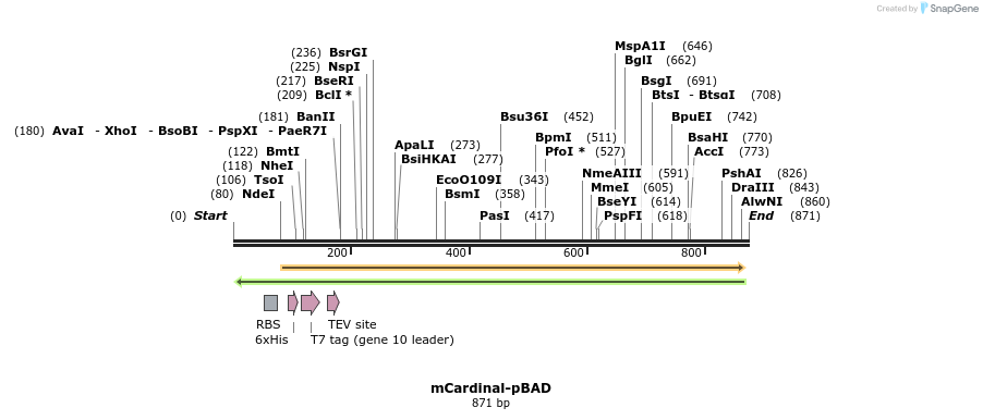 93475_map