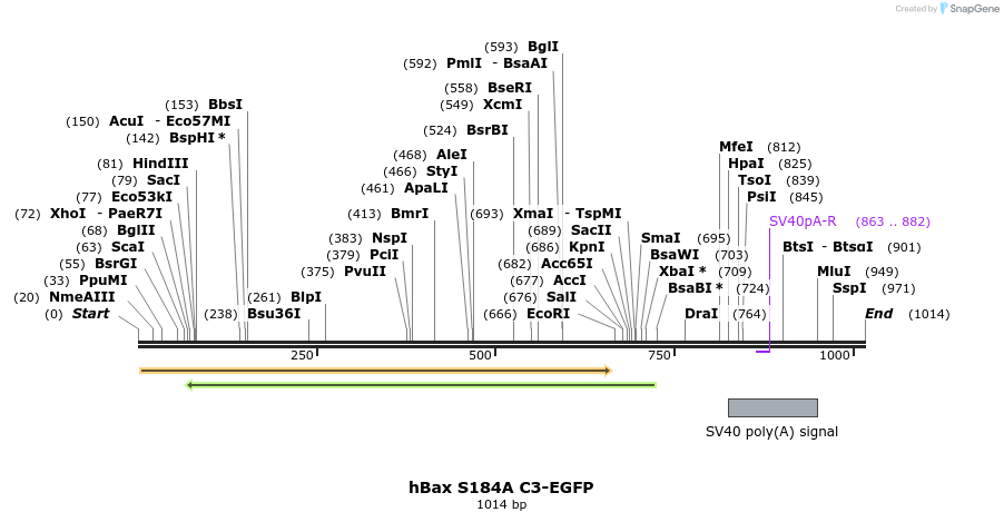 9349_map