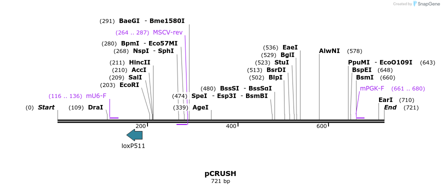 93495_map