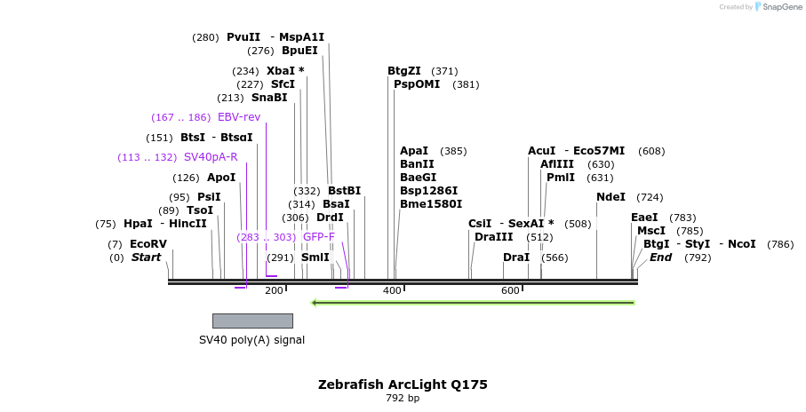 93496_map
