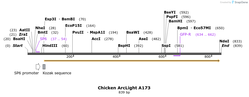93497_map