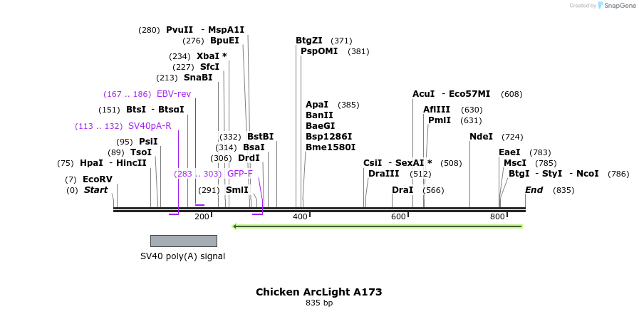 93498_map