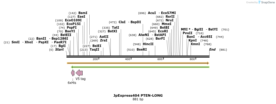 93499_map