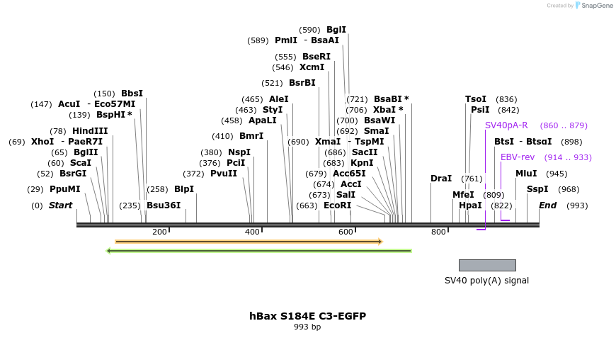 9350_map