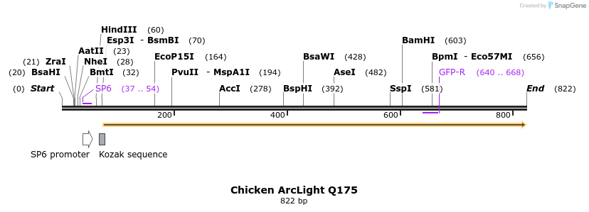 93501_map