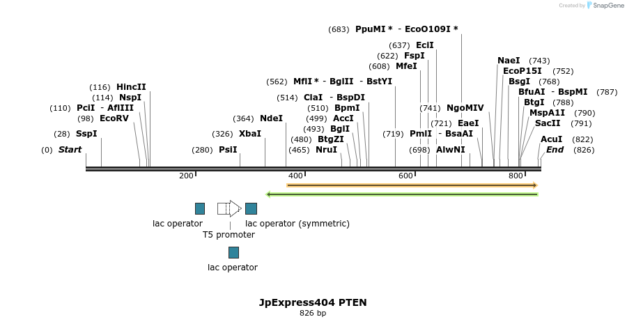 93503_map