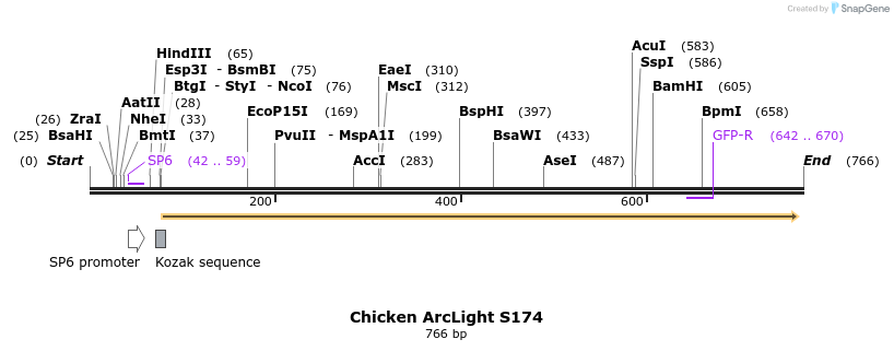 93505_map