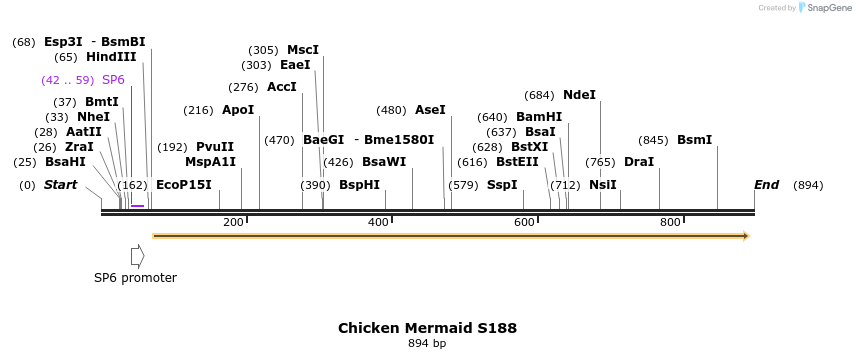 93507_map
