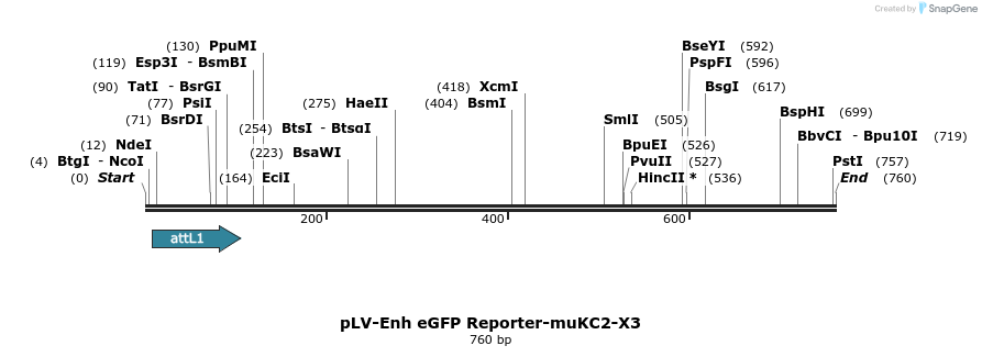 93511_map