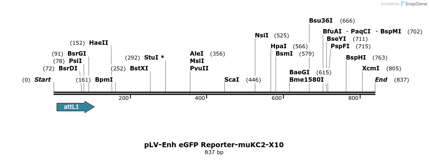 93518_map