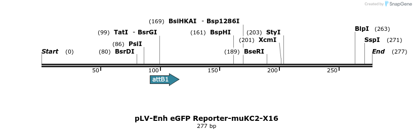93524_map