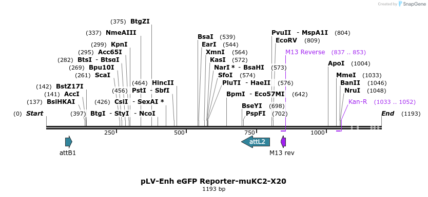 93529_map
