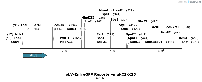 93532_map