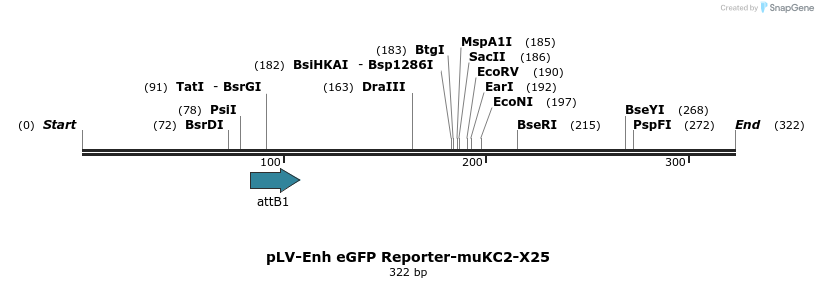 93534_map