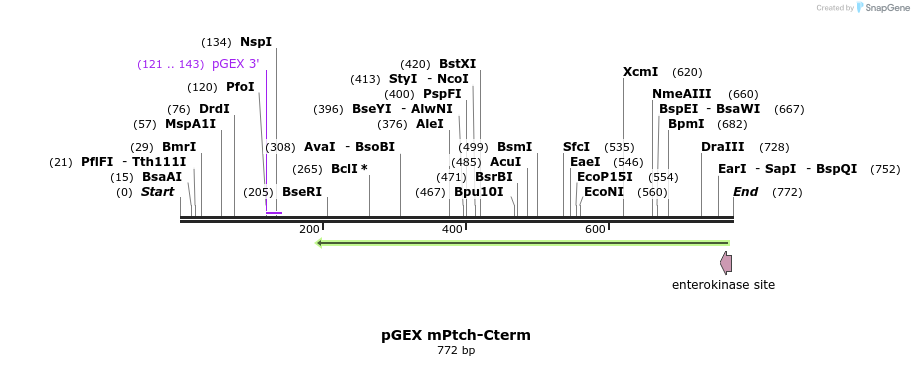 93543_map