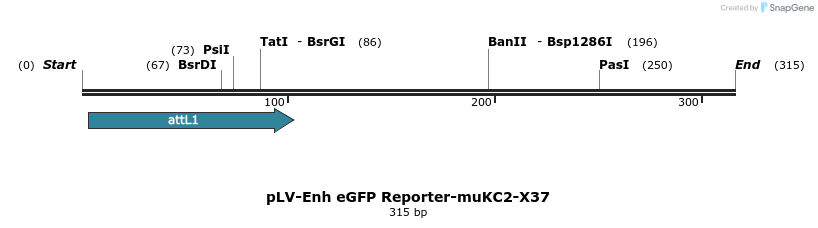 93547_map