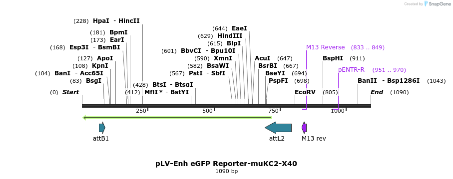 93550_map