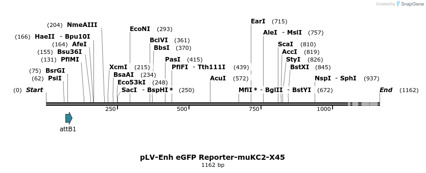93556_map