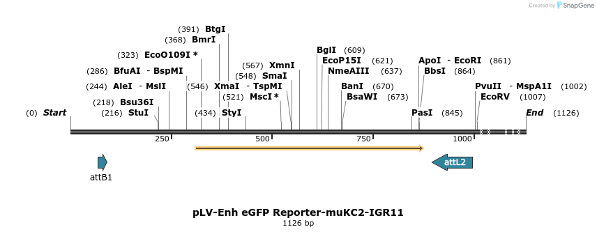 93565_map