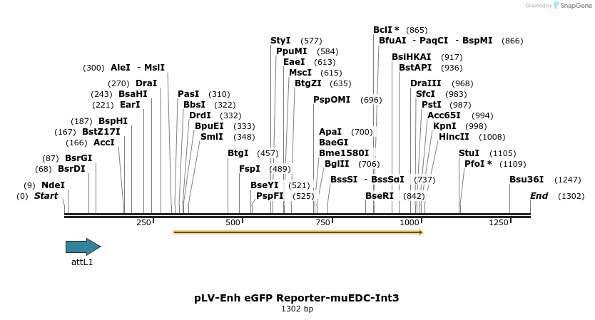 93570_map