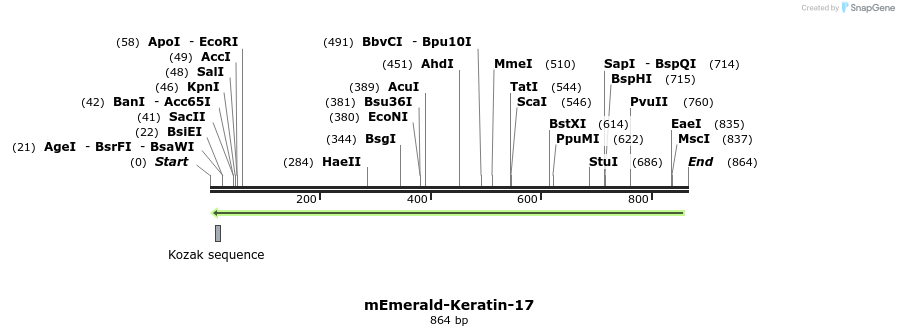 93572_map