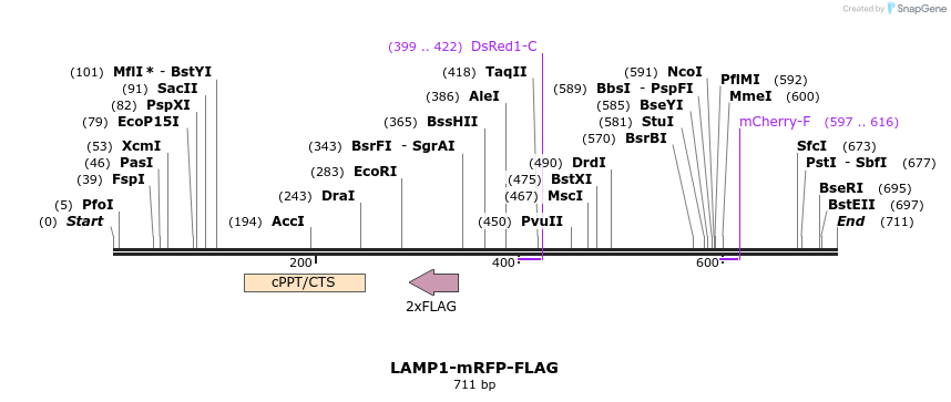 93575_map